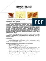 Tricocefalosis Corregido PDF