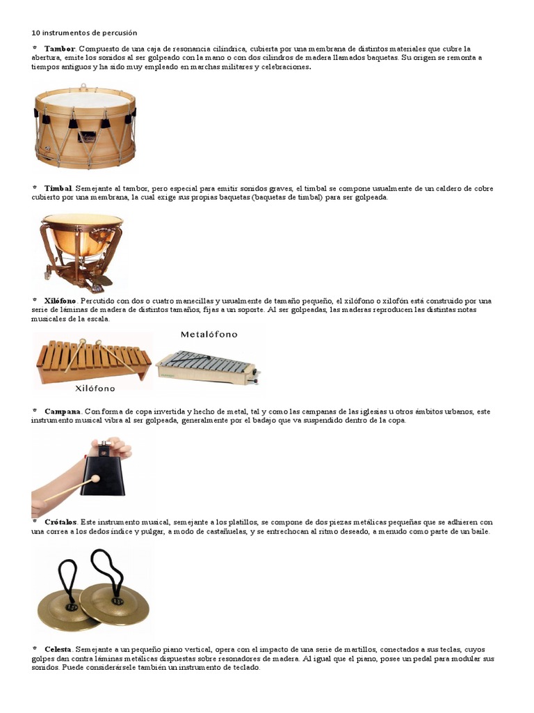 pesado almohadilla jardín 10 Instrumentos de Percusión | PDF | Acordeón | Guitarras