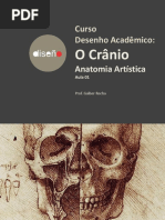 AULA01T04-Crânio-Galber Rocha- 2019