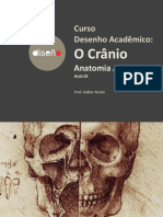 AULA01T04-Crânio-Galber Rocha - 2019