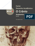 AULA02T04-Crânio-Galber Rocha- 2019