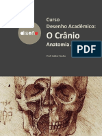 AULA05-Crânio-Galber Rocha - 2019.04