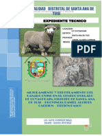 Expediente Tecnico Cuyaghuain - Santa Ana de Tusi PDF