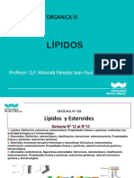 Lipidos 1 Unw