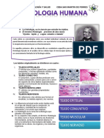 Ficha Cts HISTOLOGIApdf