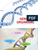 Genetika-02 (GENOM ORGANISME)