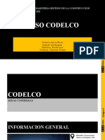 Caso CODELCO - Grupo 05 - RV02