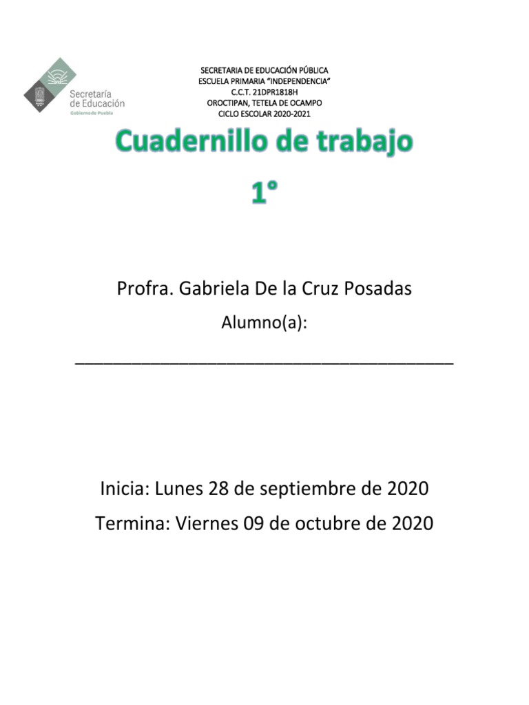 Actividades para Primer Grado de Primaria | PDF | Alfabeto | Hormiga