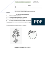 Prueba de 4to grado Ciencias Naturales