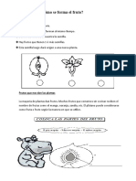 Ciencia y Tecnologia 2