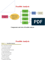 Components and Roles of Feasible Analysis