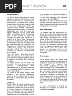 Différents Vents p23-27