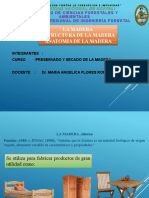 2020 Estructura de La Madera