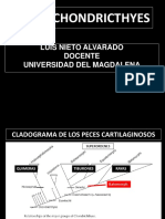 Def. Quimeras