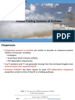 Protein Folding Systems of Archaea