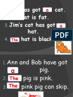 Jim Has Got Cat. Cat Is Fat. Jim's Cat Has Got Hat. Hat Is Black