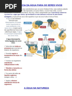 Ciencias - IMPORTÂNCIA DA ÁGUA PARA OS SERES VIVOS1