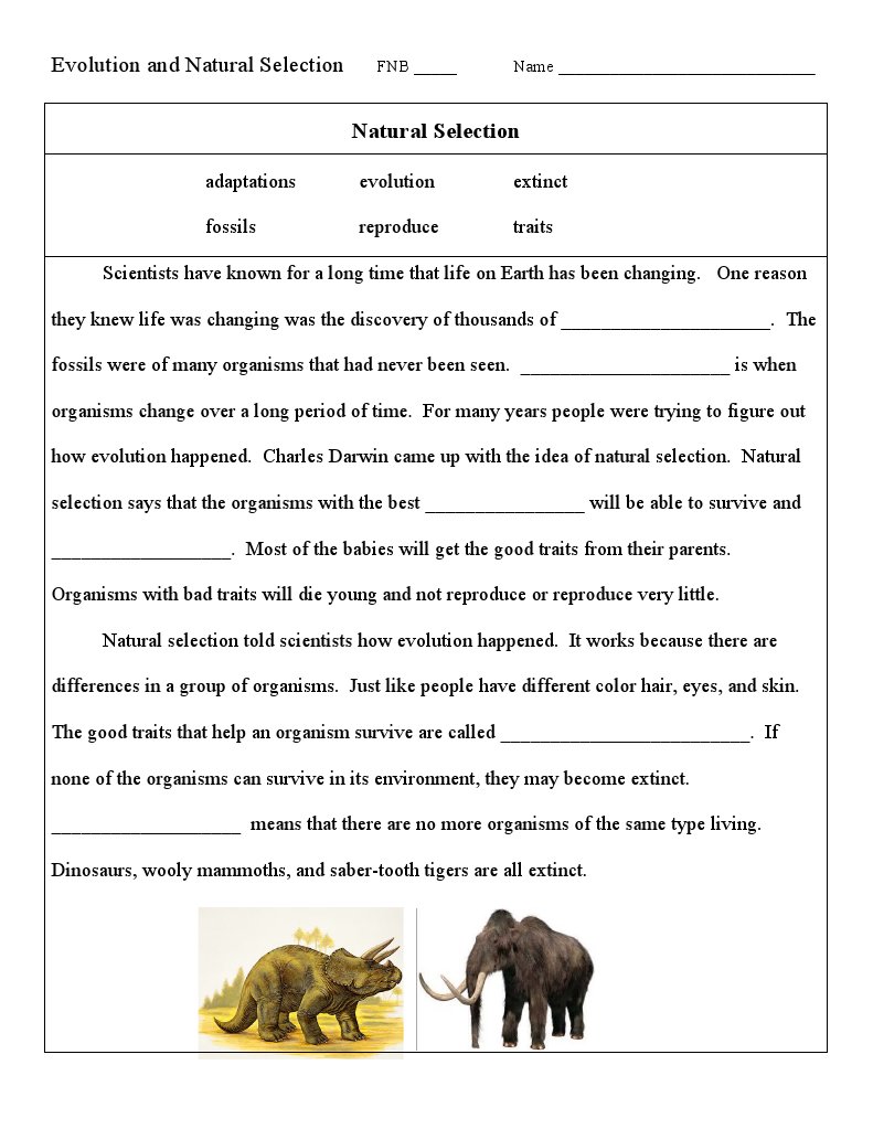 Understanding Evolution and Natural Selection | PDF | Science & Mathematics