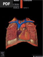 Netter Corazon PDF