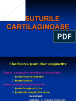 lp-mg-5-tesuturi-cartilaginoase.ppt