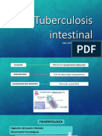 Tuberculosis intestinal