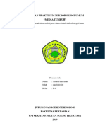 Laporan 3 Media Tumb PDF