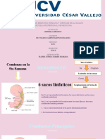 Clinical Case 02-2019 by Slidesgo