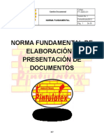 Anexo P Norma Fundamental Documentacion