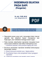 REVIEW Pengantar IB Sapi - PPDH - 2020A PDF