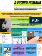 INFOGRAFIA FIGURA HUMANA