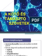 Kotoszovetek I