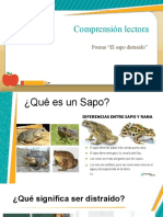 Comprensión Lectora El Sapo Distraído