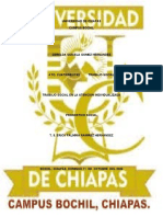 Universidad de Chiapas