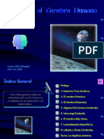 2.el Cerebro PDF