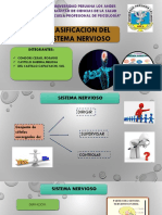 Clasifiación Del Sistema Nervioso