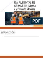 AUDITORÍA AMBIENTAL EN EL SECTOR MINERÍA (Minería