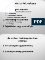 Anatómia Felosztása J Az Emberi Test Részei J Fő Síkok J Irányo