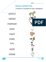 Animale Ferma - Denumiri PDF