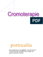 www.nicepps.ro_8355_Cromoterapie.pps