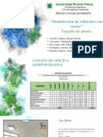 TAMAÑO DE PLANTA-FLUJO DE CAJA. Hoy