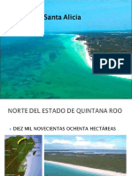 Holbox Santa Alicia PDF