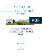 Carpeta A120 - Gualeguay Entre Rios 20 Hectareas PDF