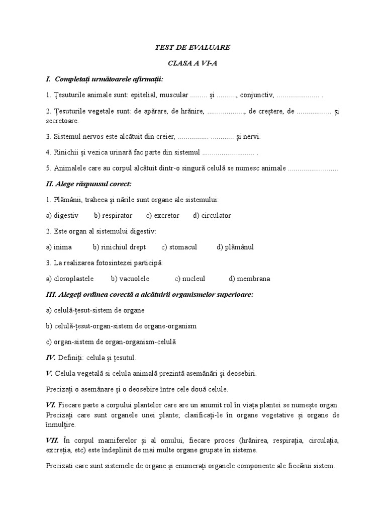 Test 6 | PDF