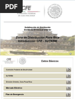 Organigrama CFE | PDF