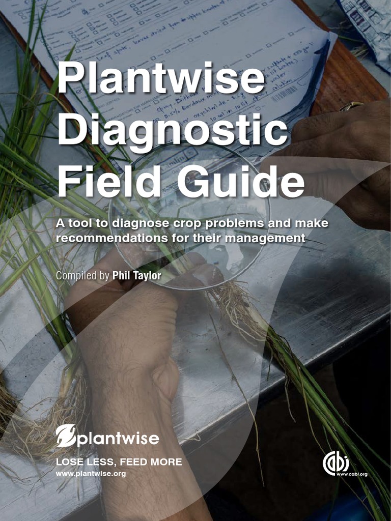 Plantwise Diagnostic Field Guide | PDF | Medical Diagnosis | Agriculture