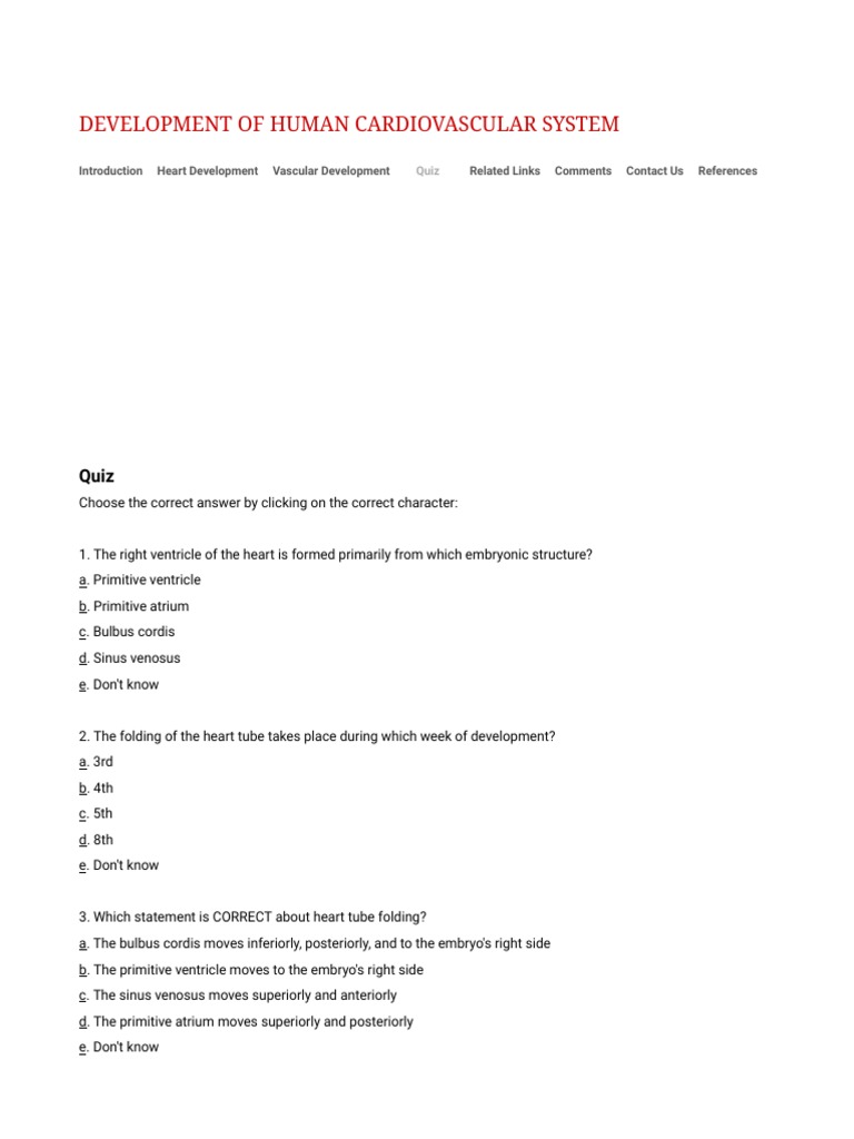 Quiz Development of Human Cardiovascular System PDF Aorta