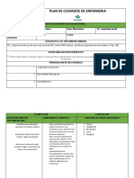 PLAN DE CUIDADOS DE ENFERMERIA (Diagnostico Real)