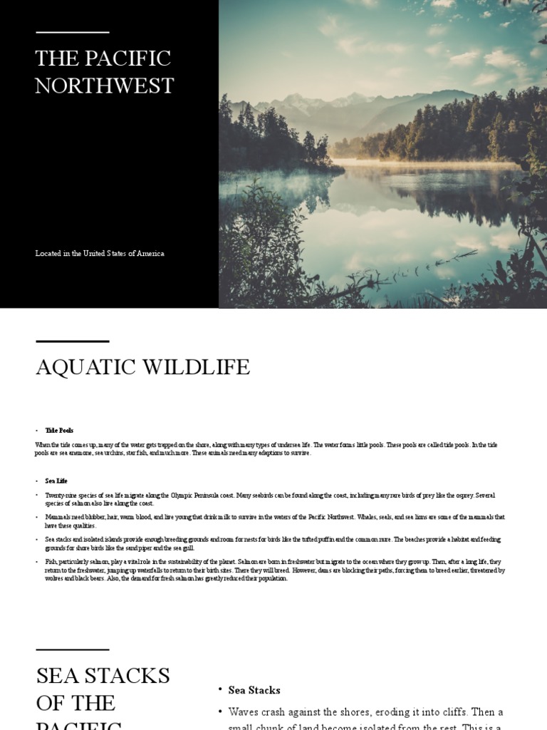 Aquatic Wildlife of the Pacific Northwest | PDF | Rainforest | Salmon