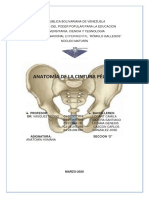 Cintura Pelvica.pdf