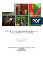 2009 Analisis Iniciativas Biocomercio Empresas Amazonas